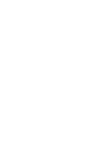 NESSSIX